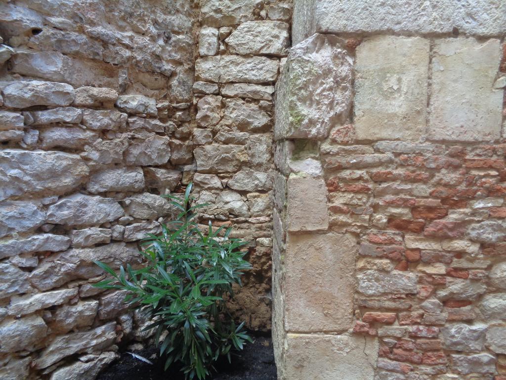 B&B Le Chat Qui Dort Montricoux エクステリア 写真
